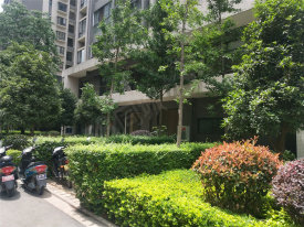 隆阳区隆阳区观城国际楼盘新房真实图片