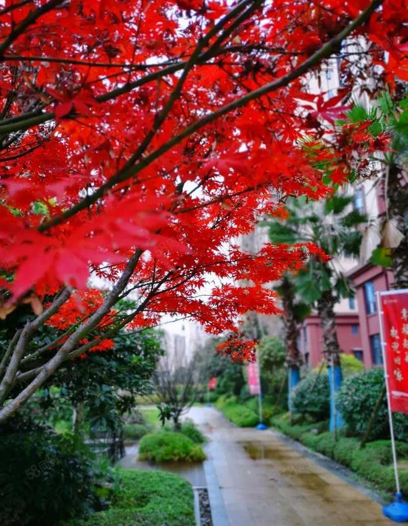 陈俊杰联系电话_置业顾问销售陈俊杰发布的意利·翠湖香榭楼盘动态-58