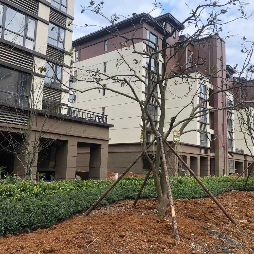 社区配套桐达果岭小区绿化已部分完善412021-12-25社区配套桐达学樘府