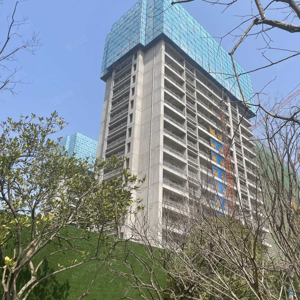 朱冬梅联系电话_置业顾问销售朱冬梅发布的滨康天曜城楼盘动态-58同城