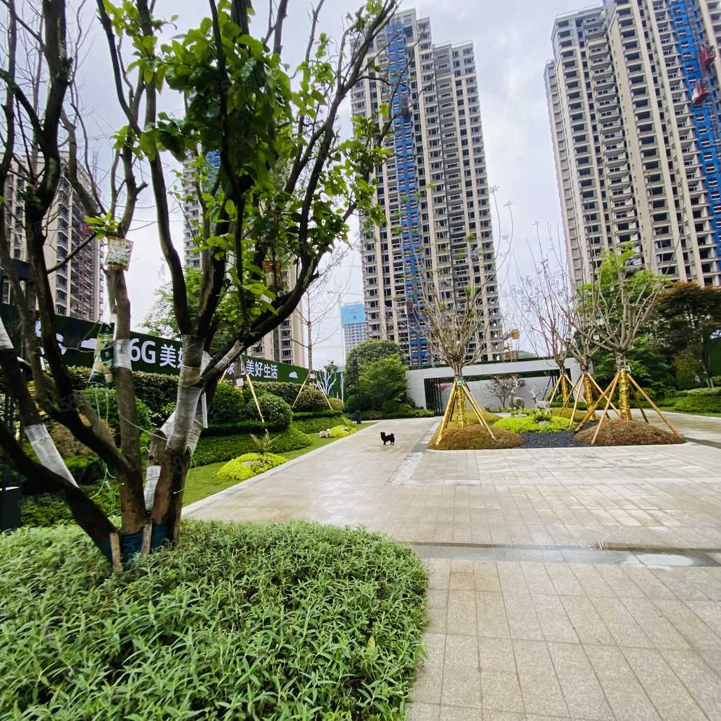 肖瑶联系电话_置业顾问销售肖瑶发布的绿地·遂宁1958文创产业项目