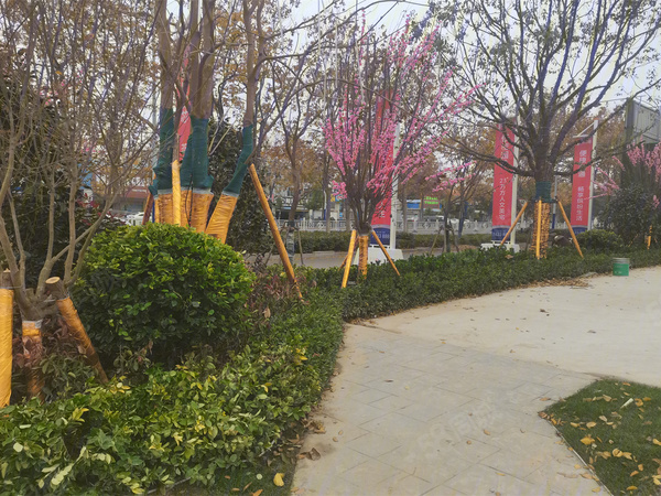 宝业·滨湖绿苑楼盘区位规划