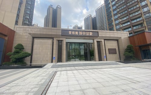 小区主大门进度，实景拍摄，欢迎咨询。