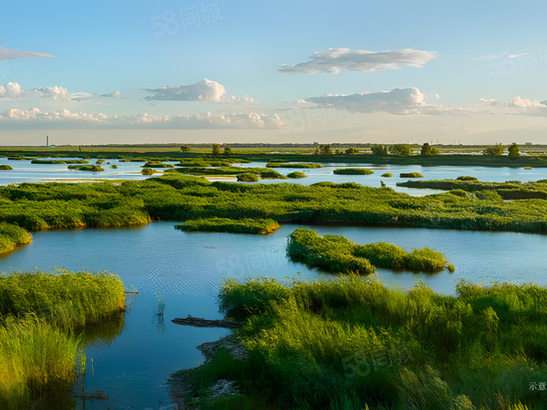 御林灣樓盤周邊配套