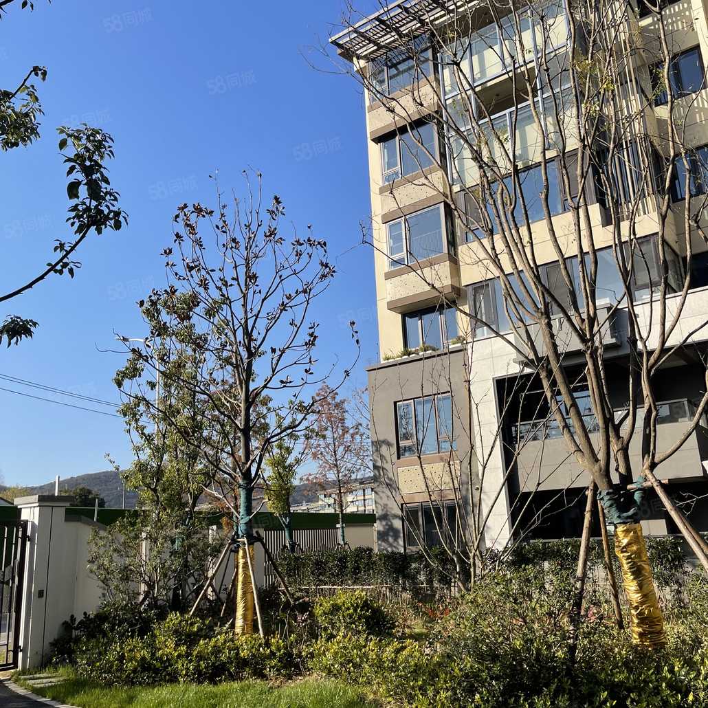 沈品辰联系电话_置业顾问销售沈品辰发布的信义山水嘉庭楼盘动态-58
