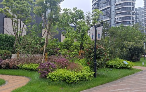 走在小区的路上，美滋滋