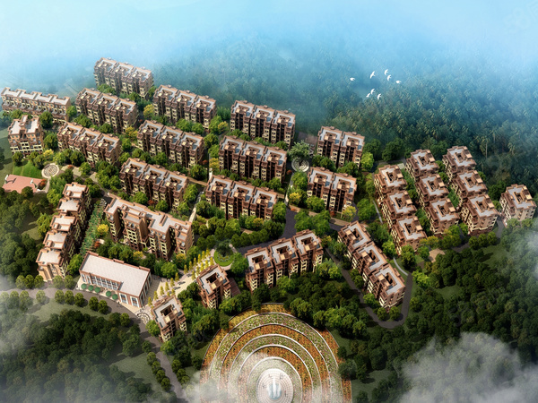 金阳第一农场金佛山