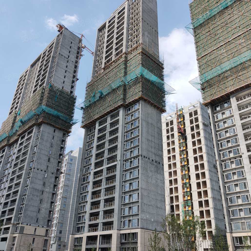 汤杨玲联系电话_置业顾问销售汤杨玲发布的荣安·望庄楼盘动态-58同城