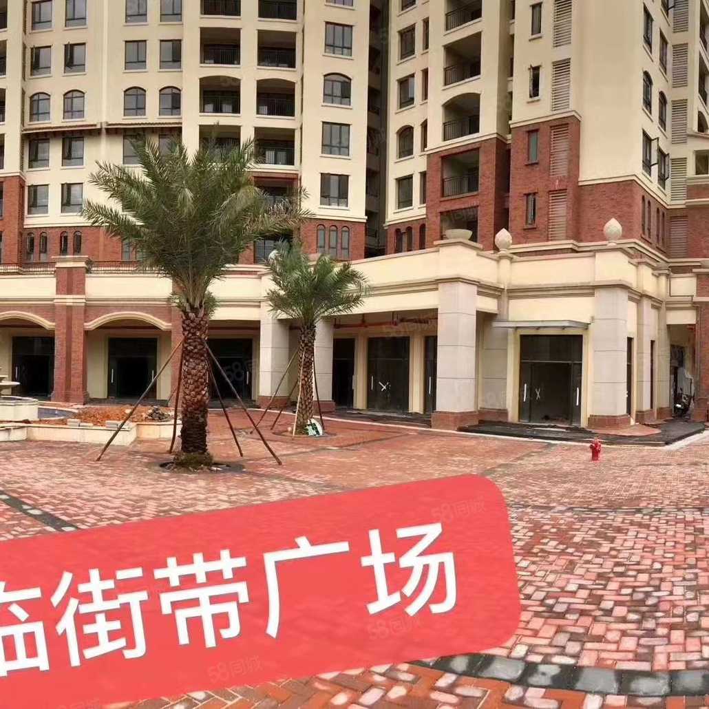 星汇半岛商铺,碧桂园美林湖两盘交汇处,市场旁ta的发布(6)开发商:清远