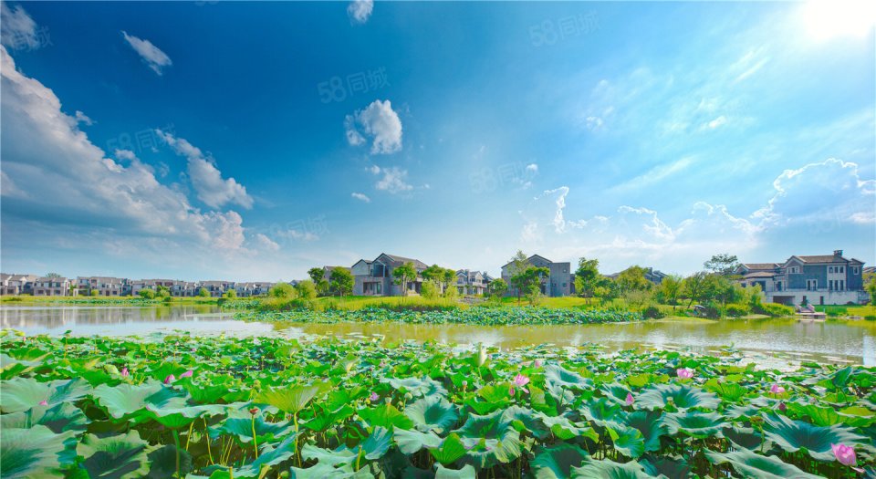 ,梧桐湖新城·梁子湖畔