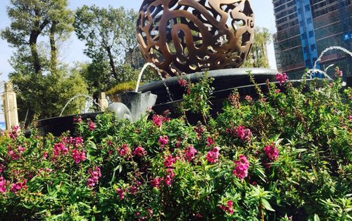 奥体牛奶厂版块,
金地天河公馆,
法式风情商业街开始开售.