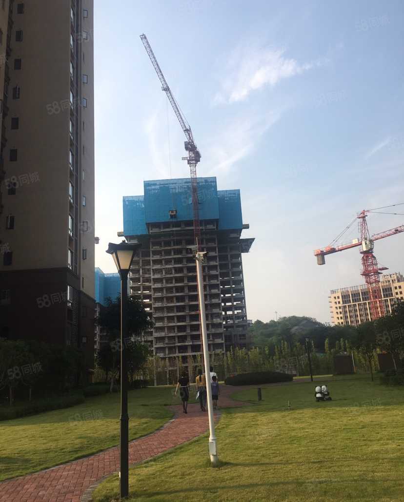 张潆月联系电话_置业顾问销售张潆月发布的金瓯滨江国际楼盘动态-58