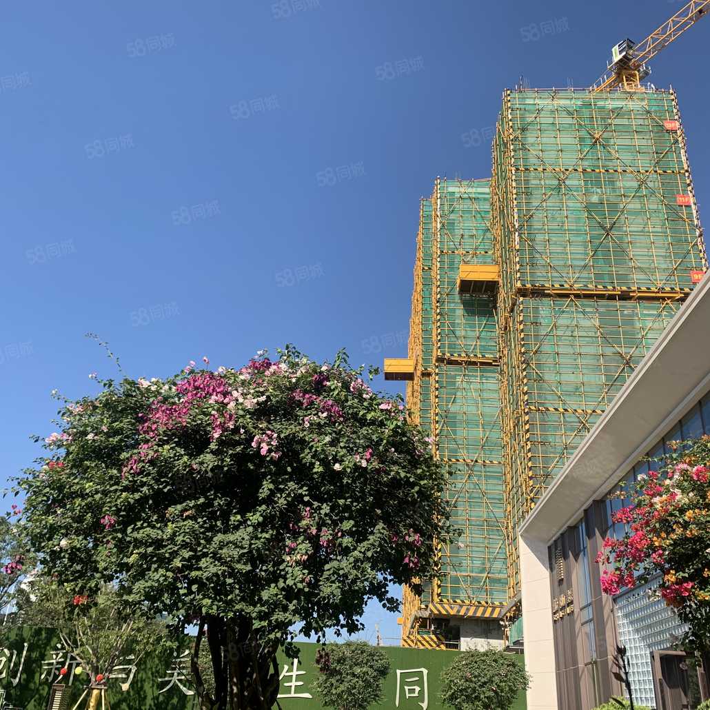 杜杰锋联系电话_置业顾问销售杜杰锋发布的南益阳江春晓楼盘动态-58