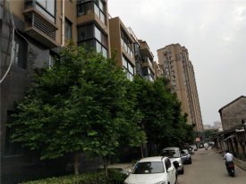 龙眠街道龙眠街道大润发商业街楼盘新房真实图片