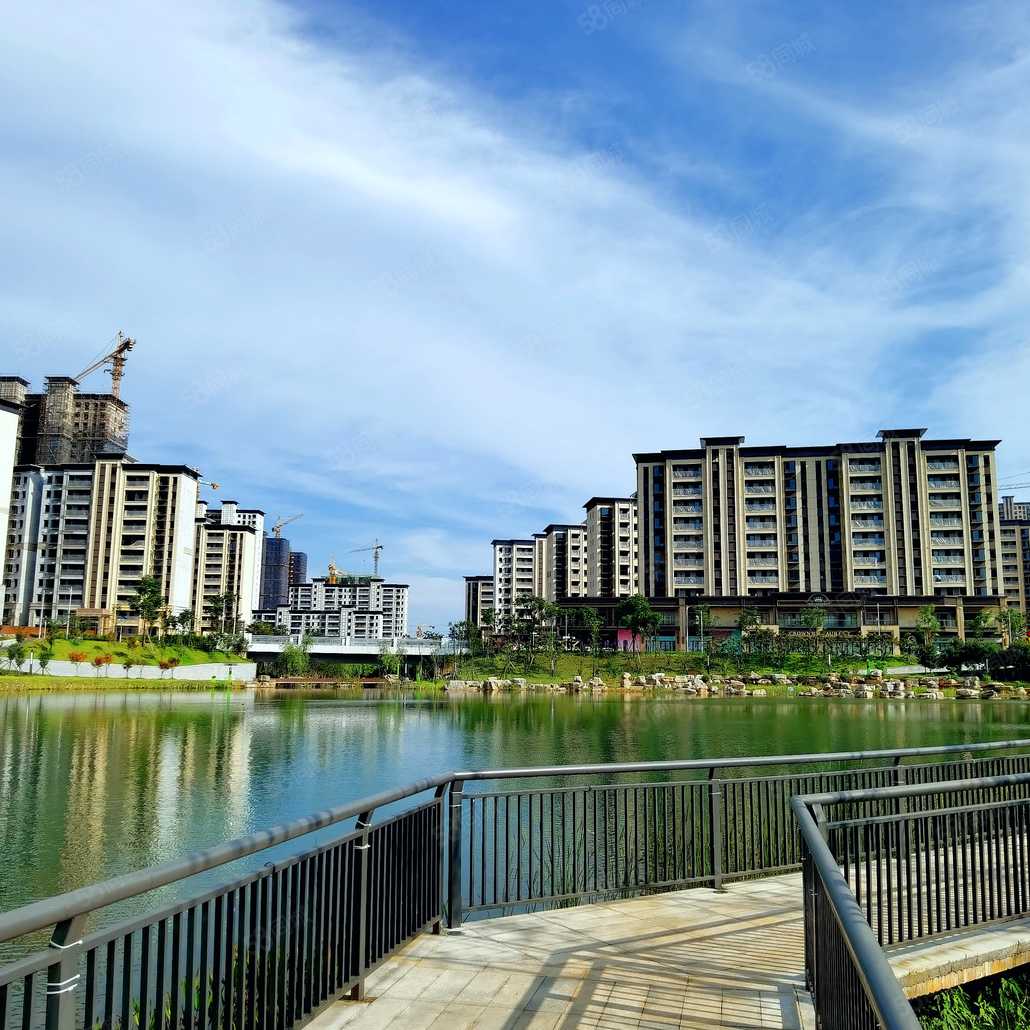 社区配套一号地块湖景房所看到的星月湖实景