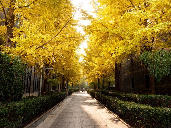 一瓶樓盤周邊配套