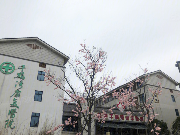 千鹤漫城,盐城千鹤漫城房价,,千鹤漫城物业,户型图,周边配套和交通