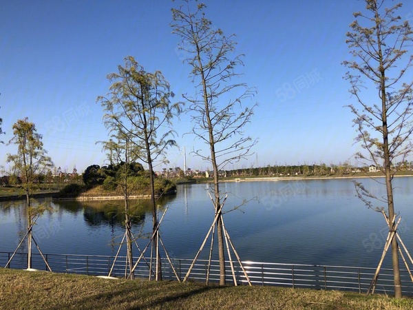 均和·星海湾楼盘现场环境