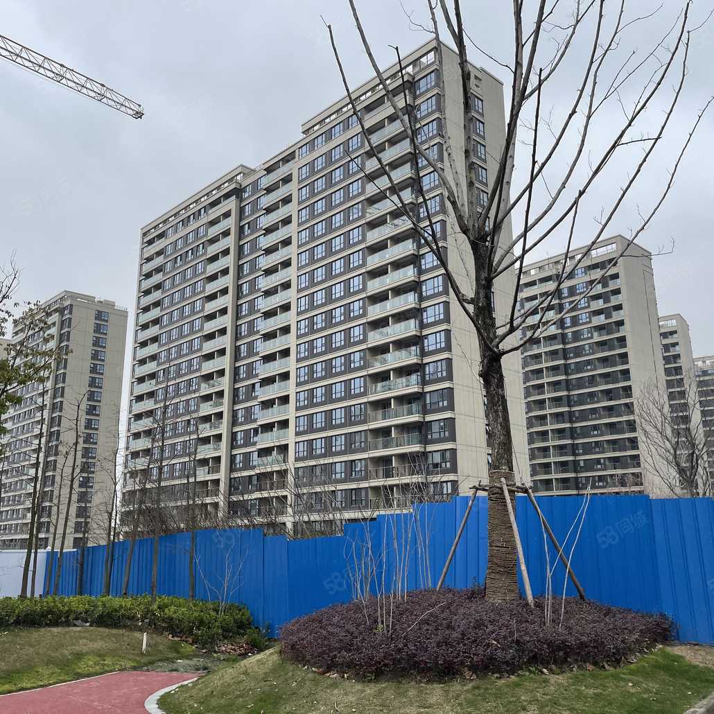 张政联系电话_置业顾问销售张政发布的大华悦庭楼盘动态-58同城