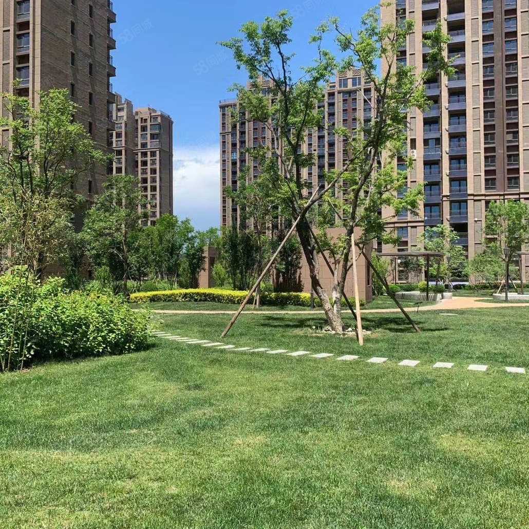 赵岩联系电话_置业顾问销售赵岩发布的路劲阳光城楼盘动态-58同城