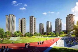 大方县大方县大方碧桂园楼盘新房真实图片
