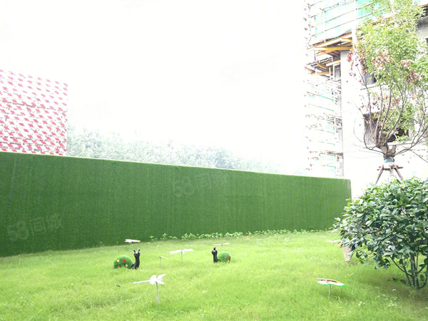 师大·聚龙府周边公园绿化