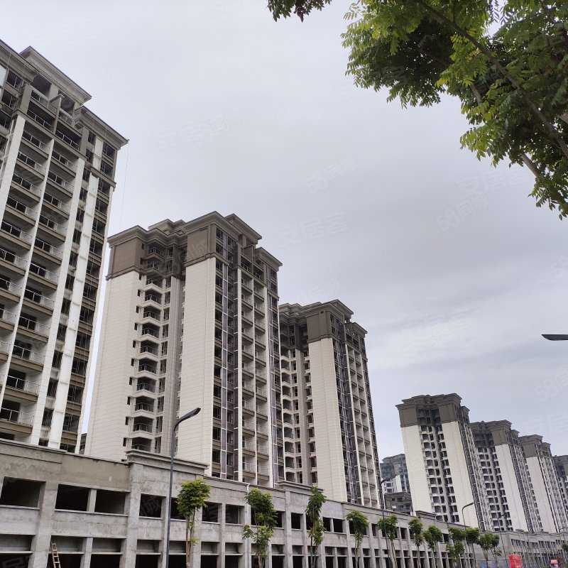 李金凤联系电话_置业顾问销售李金凤发布的恒信·水岸名邸楼盘动态-58