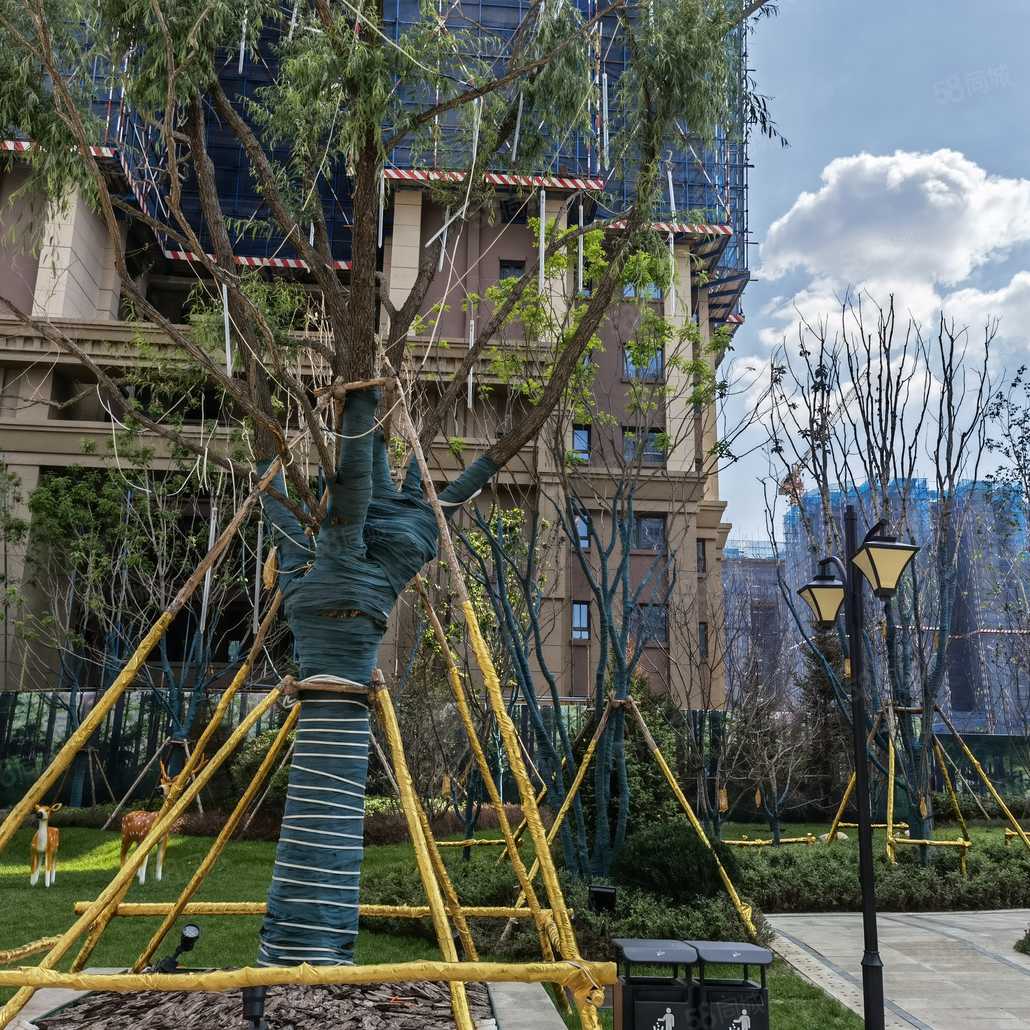 薄海静联系电话_置业顾问销售薄海静发布的哈尔滨恒大云锦华庭楼盘