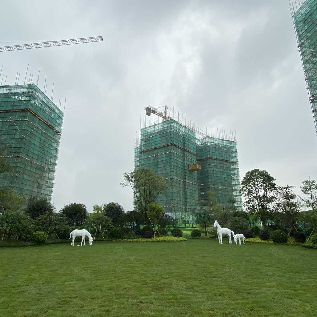 联系电话_置业顾问销售发布的金科颐景园楼盘动态-58同城