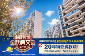 耒阳耒阳耒阳碧桂园楼盘新房真实图片