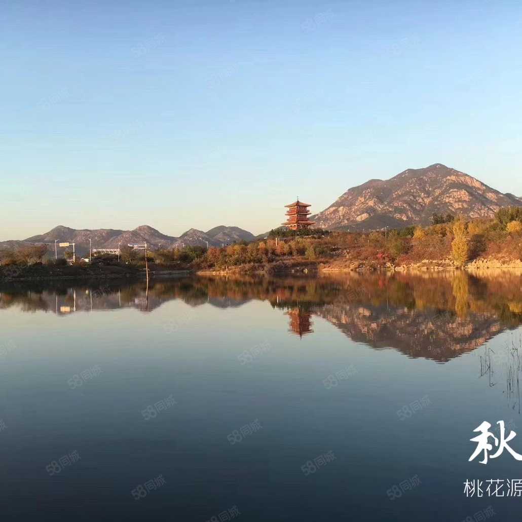 曹营营联系电话_置业顾问销售曹营营发布的泰山龙胤楼盘动态-58同城