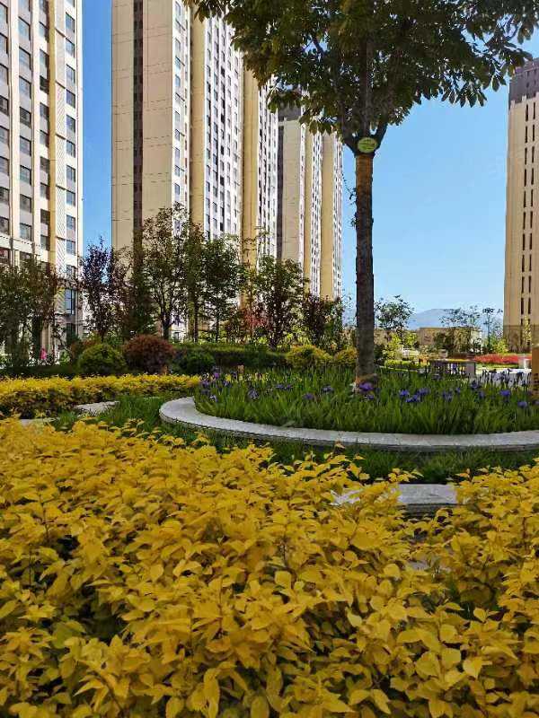 胡珍珍联系电话_置业顾问销售胡珍珍发布的上河郡·澜岸楼盘动态-58