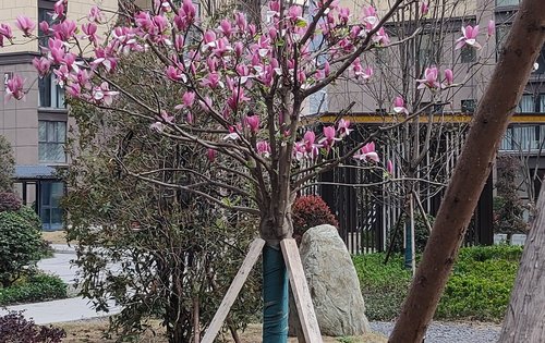 小区一角展示