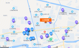 松江区泗泾云顶别墅楼盘新房真实图片