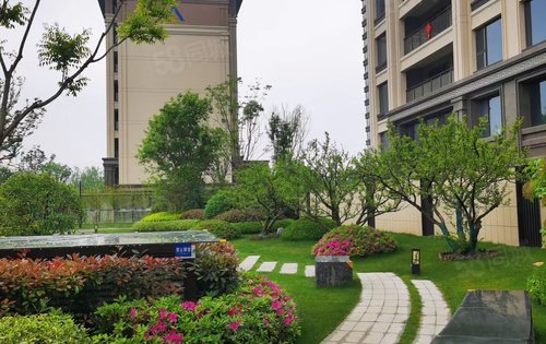 商水建业天玺_商水建业天玺建业已经现房的小区景色,商水建业天玺楼盘