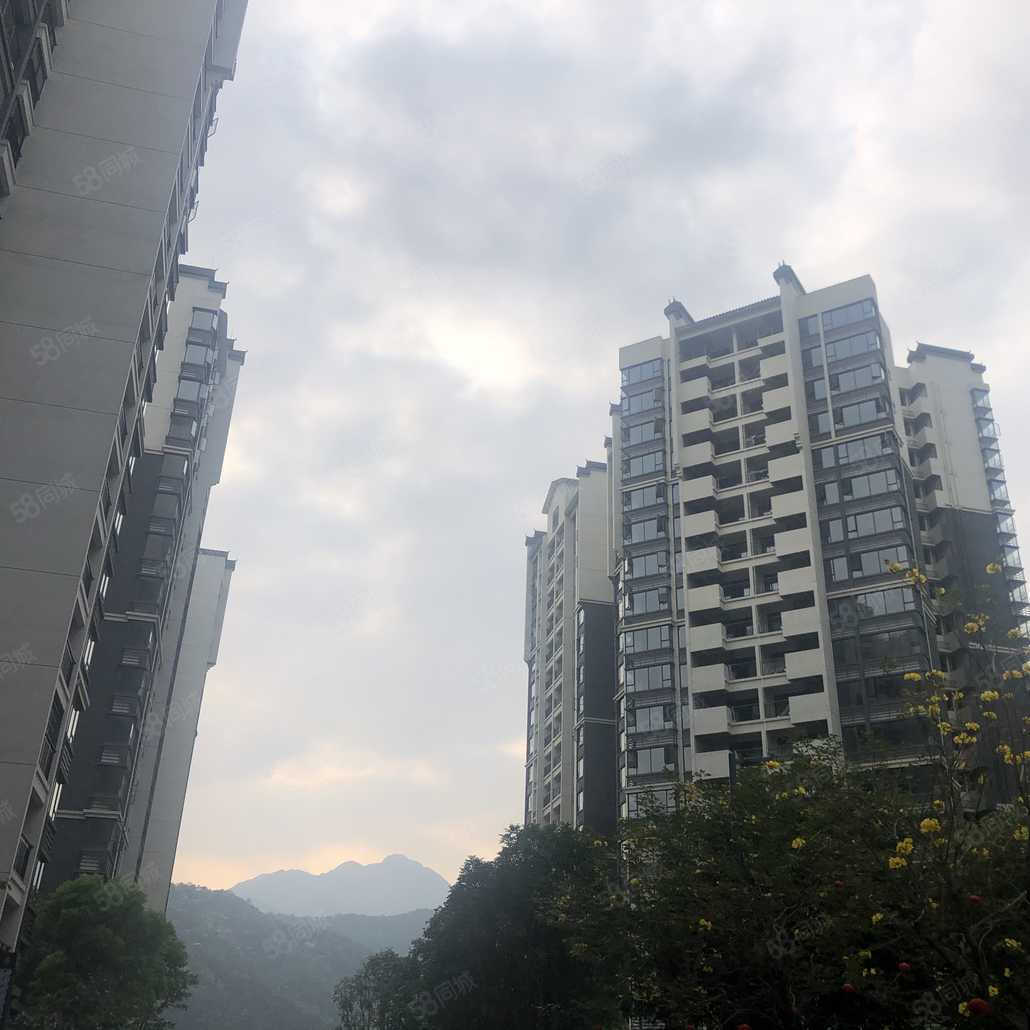 林腾飞联系电话_置业顾问销售林腾飞发布的涛汇翠湖湾花园楼盘动态-58