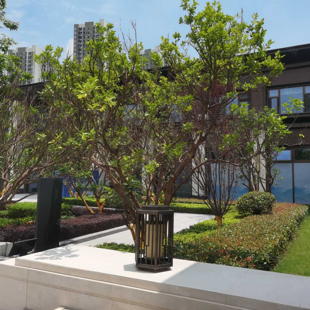 熊阳碧联系电话_置业顾问销售熊阳碧发布的金科禹洲府楼盘动态-58同城