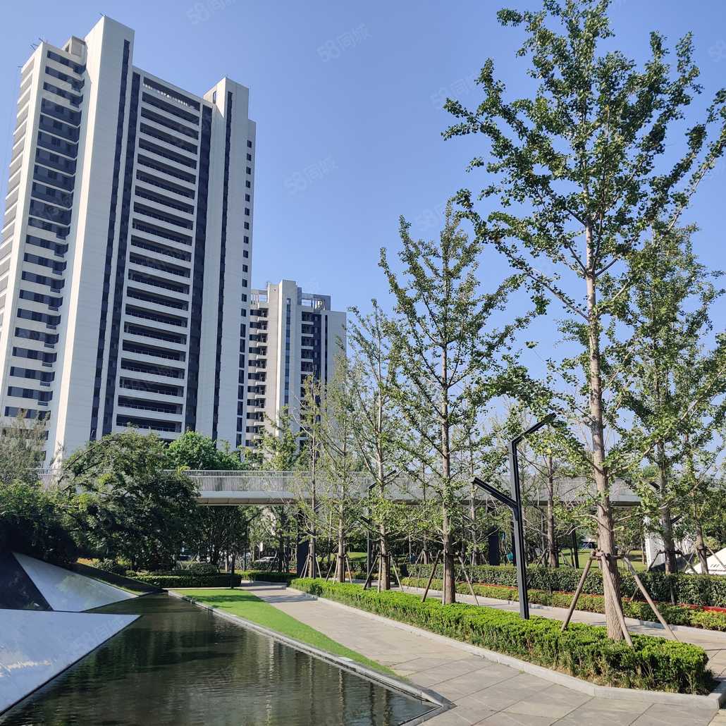 徐龙飞联系电话_置业顾问销售徐龙飞发布的富力皖投大河城章楼盘动态