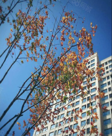君钰府楼盘现场环境