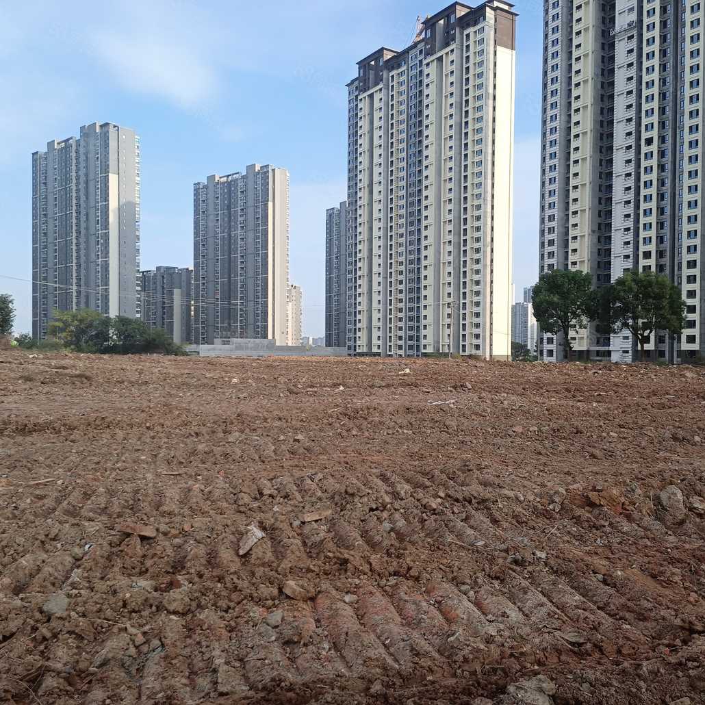 刘锋联系电话_置业顾问销售刘锋发布的佳阳大都府楼盘动态-58同城