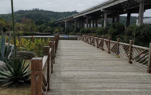 距离项目300米处的月港湿地公园实拍