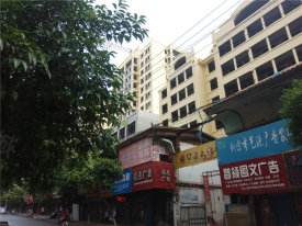 渝水区渝水区都市名人楼盘新房真实图片