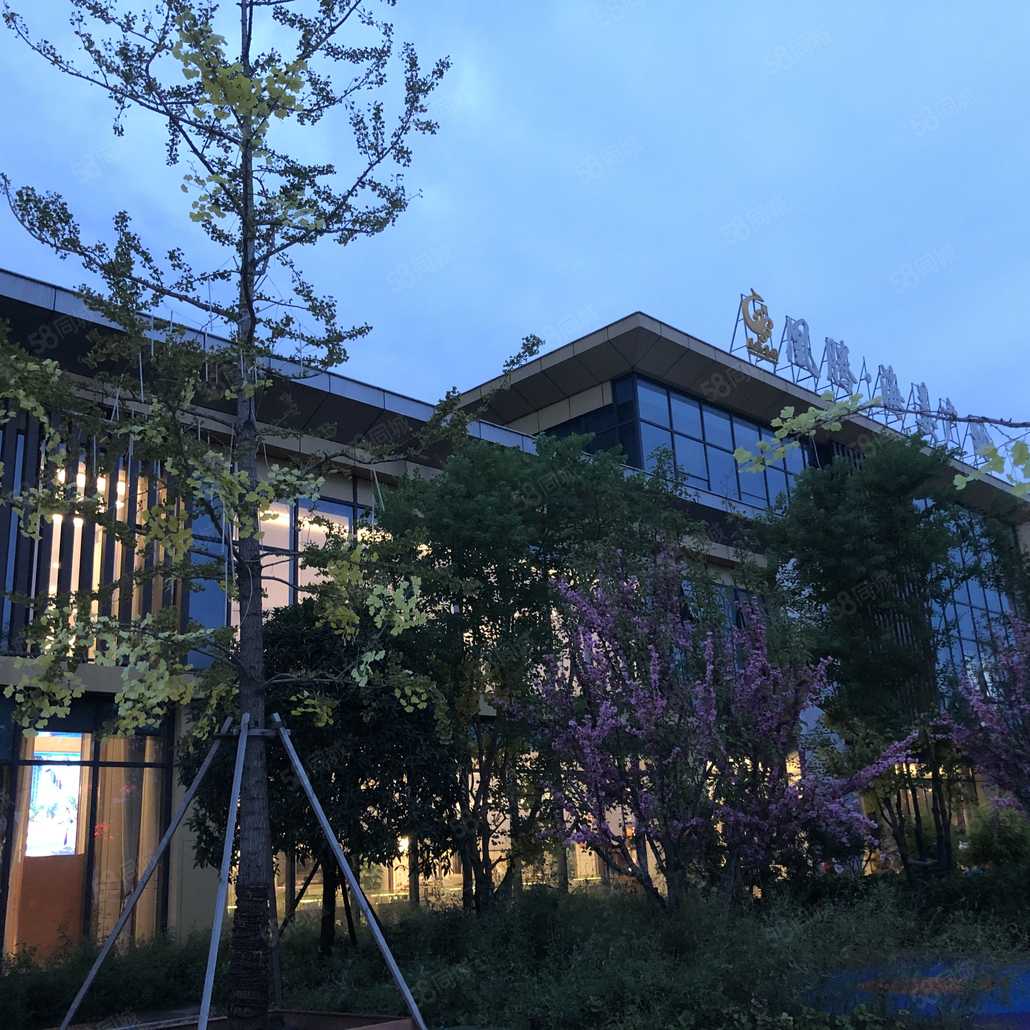 邓鸿洁联系电话_置业顾问销售邓鸿洁发布的邦泰誉府南区楼盘动态-58