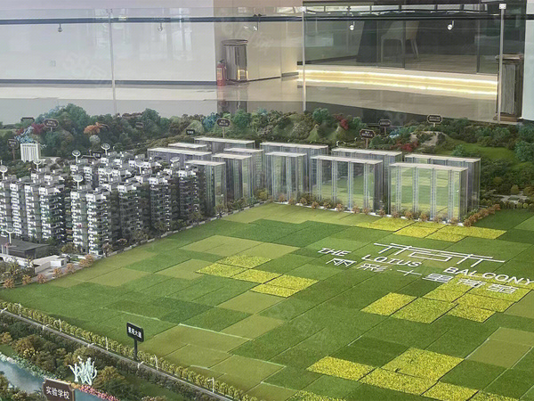丽彩·十里荷苑规划沙盘