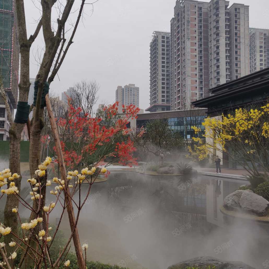 王维联系电话_置业顾问销售王维发布的东邦棠宁府楼盘动态-58同城