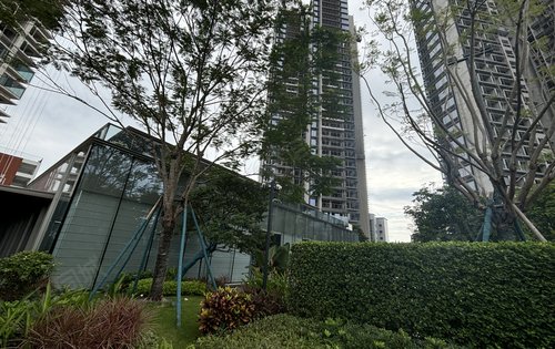 绿城的园林美景，下楼就是公园