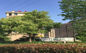 平湖平湖仓盛嘉苑楼盘新房真实图片