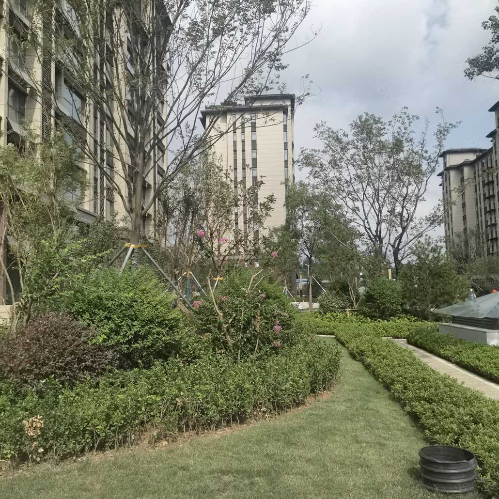 杨旭联系电话_置业顾问销售杨旭发布的华颂云玺楼盘动态-58同城