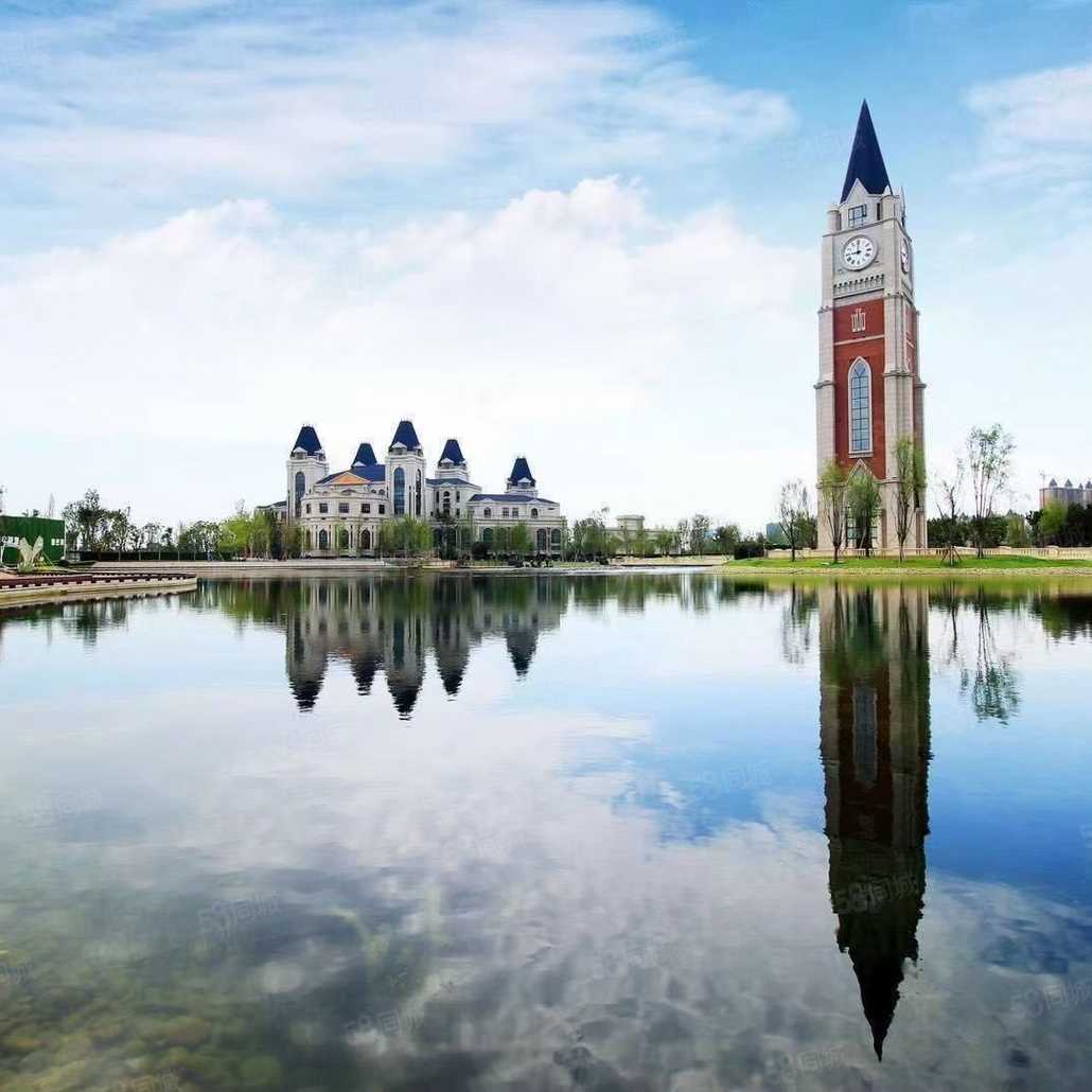 新鸥鹏小镇,未来可期