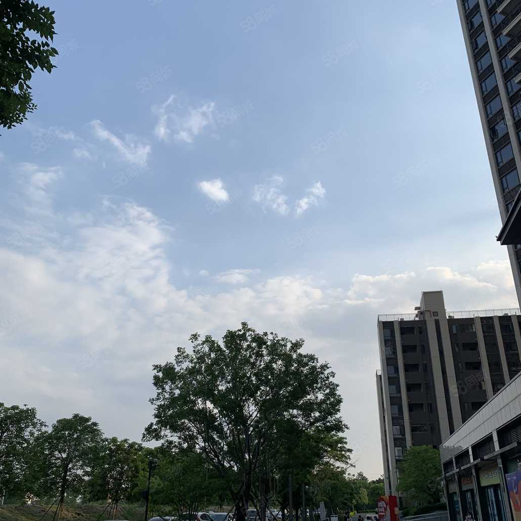 林芸联系电话_置业顾问销售林芸发布的顺德自在城楼盘动态-58同城